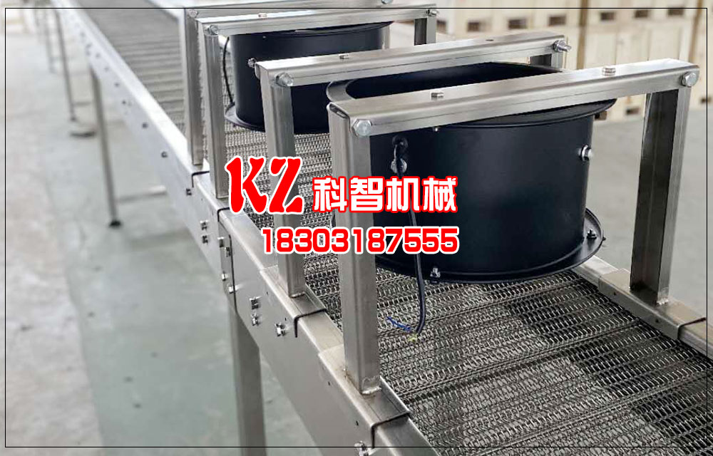 氣泡型枇杷清洗提升不銹鋼網(wǎng)帶輸送機(jī)